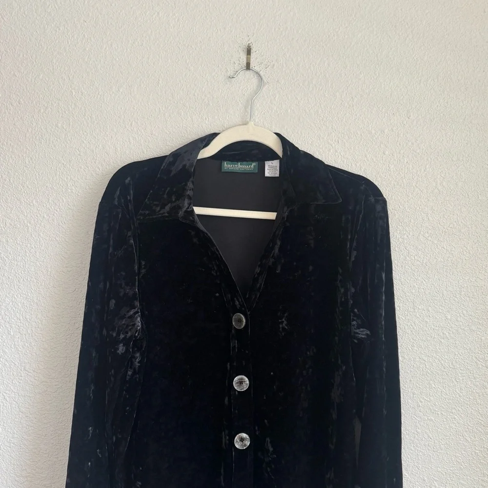 VTG Harvard‎ Benard Large Velour Crushed Velvet Button Down Whimsigoth Cardigan